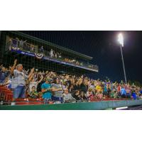 Kane County Cougars fans enjoy a game
