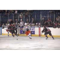 Youngstown Phantoms forward William Whitelaw vs. the Chicago Steel