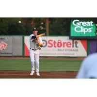 Charleston RiverDogs in action