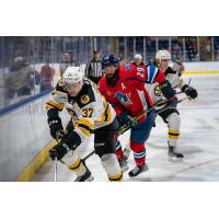 Springfield Thunderbirds' Nathan Todd and Providence Bruins' Grant Gabriele on game day