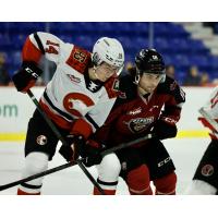 Prince George Cougars' Cayden Glover battles the Vancouver Giants