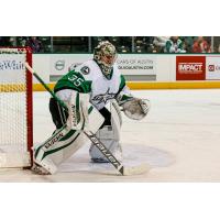 Texas Stars goaltender Anton Khudobin