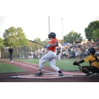 Mankato MoonDogs at the plate