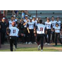 Wisconsin Rapids Rafters celebrate win