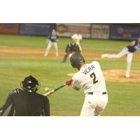 Tri-City Dust Devils' Arol Vera at bat