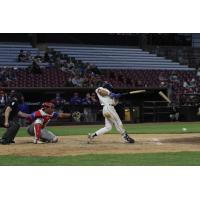 Fond du Lac Dock Spiders in action