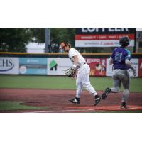 Mankato MoonDogs in action