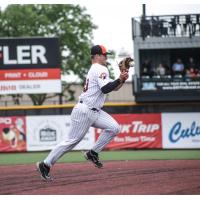 Mankato MoonDogs on game day