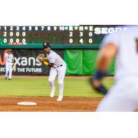 Charleston RiverDogs in action