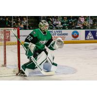 Texas Stars goaltender Matt Murray