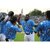 Fayetteville Woodpeckers celebrate win