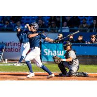 Victoria HarbourCats' Brandon Green at bat