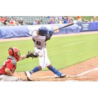 Nick Meyer at bat for the Syracuse Mets