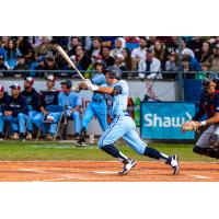 Victoria HarbourCats Dallas Macias at bat