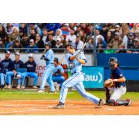 Victoria HarbourCats' Tyler Davis on game night