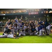 Pensacola Blue Wahoos celebrate win