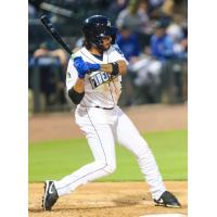 Columbia Fireflies' Roger Leyton at bat