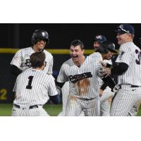 Somerset Patriots' Trey Sweeney celebrates win