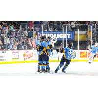 Toledo Walleye celebrate a goal