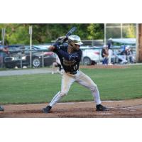 Vermont Mountaineers' TJ Williams at bat