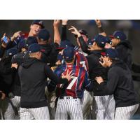 Somerset Patriots celebrate win