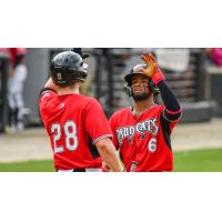 Carolina Mudcats outfielder Hedbert Perez receives congratulations at home