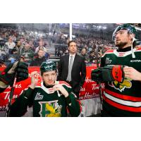 Halifax Mooseheads Head Coach Sylvain Favreau