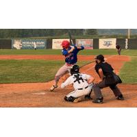 Green Bay Rockers' Kyle West at bat