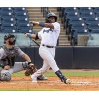 Tampa Tarpons at bat