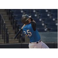 Tampa Tarpons' Jesus Rodriguez at bat