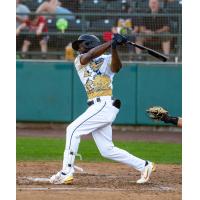 Tri-City Dust Devils with a big swing