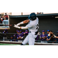 Northern Colorado Owlz at the plate