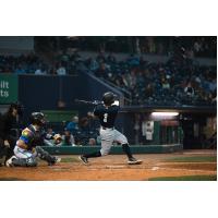 Somerset Patriots' Aaron Palensky at bat