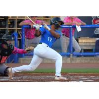 Biloxi Shuckers' Zavier Warren at bat