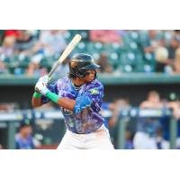 Columbia Fireflies' Austin Charles at bat