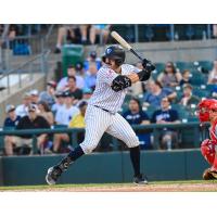 Somerset Patriots' Austin Wells at bat