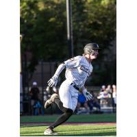 Mankato MoonDogs in action