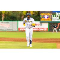 Charleston RiverDogs on game night