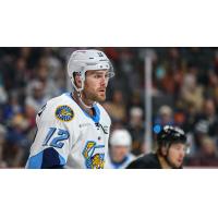 Toledo Walleye forward Brett McKenzie