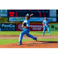 Victoria HarbourCats' Ben Smedshammer on the mound