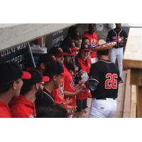 Fargo-Moorhead RedHawks' Scott Schreiber in the dugout