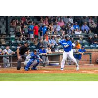 Evansville Otters at bat