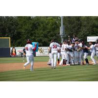 Rome Braves celebrate a walk-off win