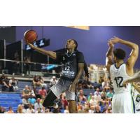 Scarborough Shooting Stars' Cat Barber in action