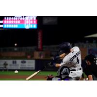 Pensacola Blue Wahoos' Troy Johnston at bat