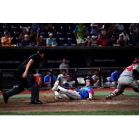 Pensacola Blue Wahoos' Troy Johnston in action