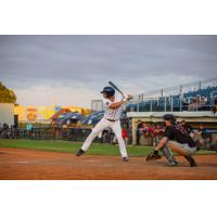 Fond du Lac Dock Spiders' Connor Conney at bat