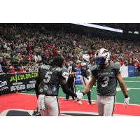 Jacksonville Sharks exchange handshakes