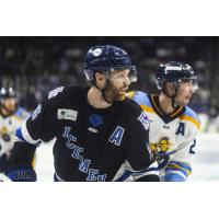 Jacksonville IceMen Forward Derek Lodermeier