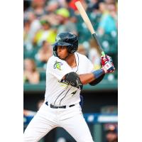 Columbia Fireflies' Erick Pena at bat